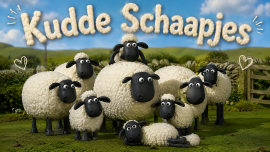 Profielbeeld
